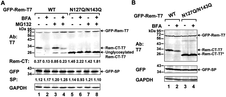 FIG 2