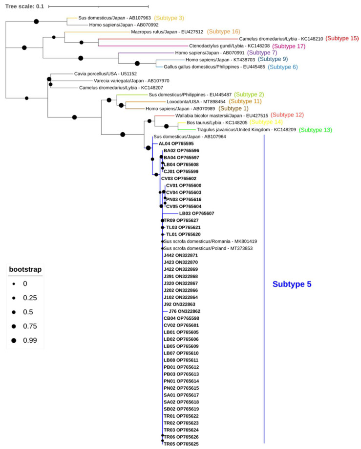 Figure 4