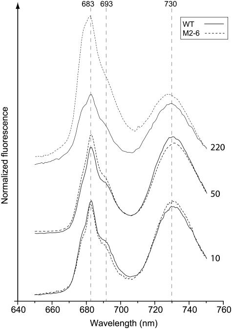 Figure 10.