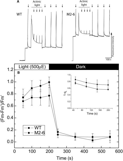 Figure 9.