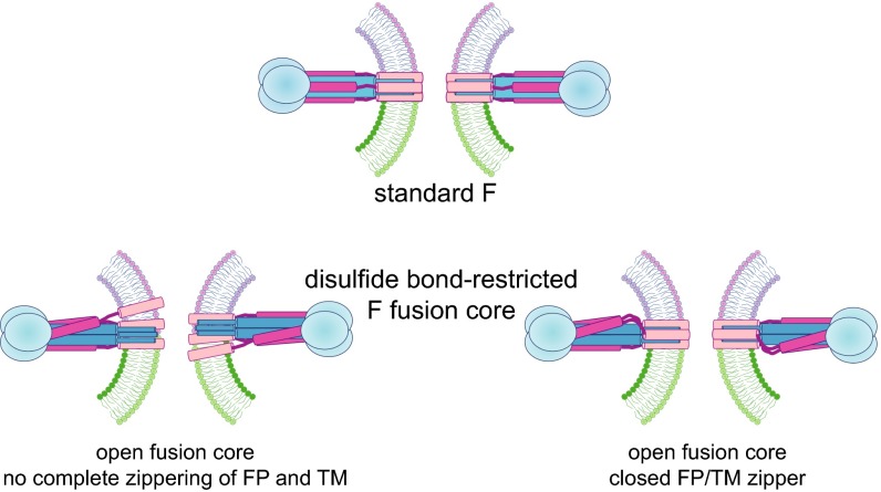 Fig. 6.