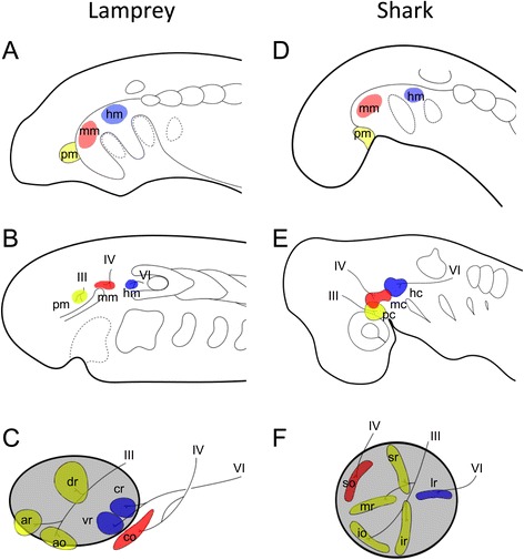 Fig. 11