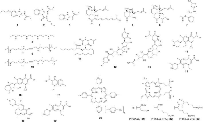 FIGURE 1