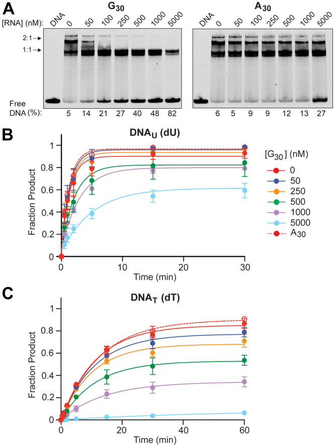 Figure 7