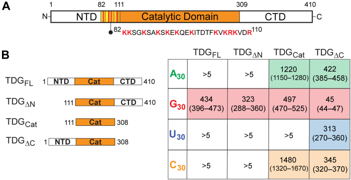 Figure 6