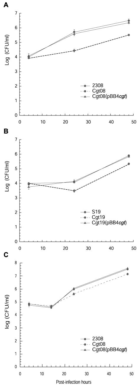 FIG.4.