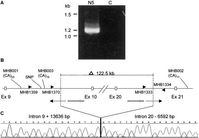 Figure  2