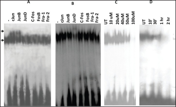 Figure 6.