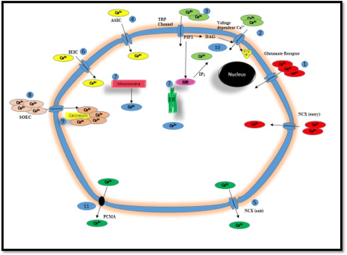 Fig. 1