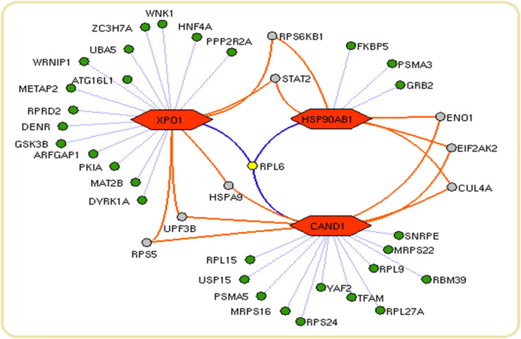 FIGURE 5