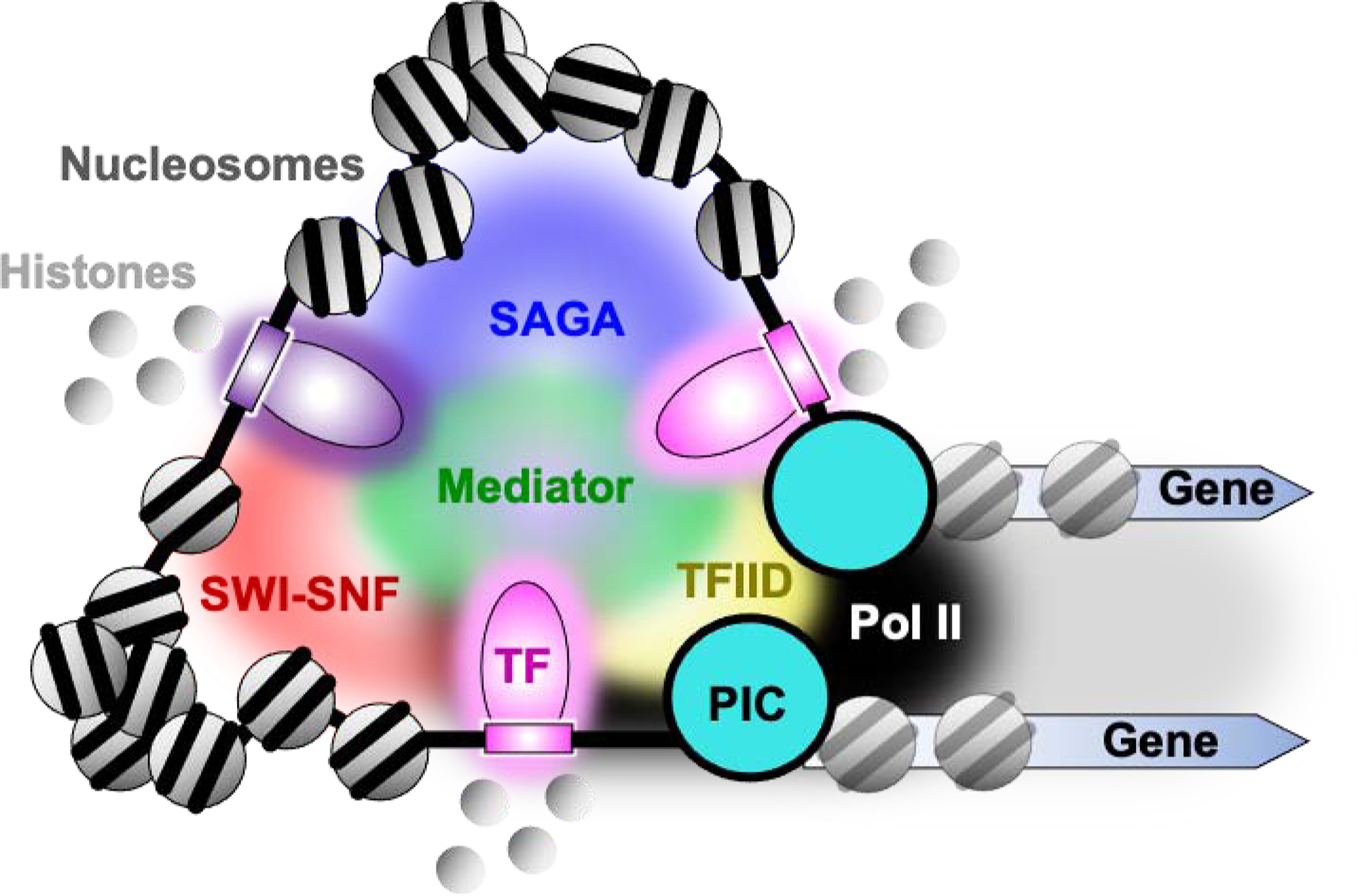 Fig. 2.