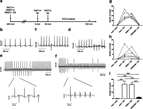 FIGURE 9.