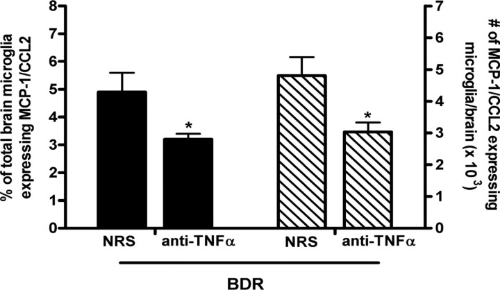 Figure 10.