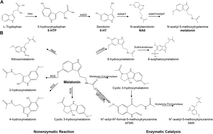 FIGURE 1