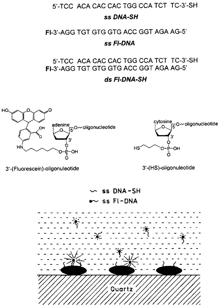 Fig. 14