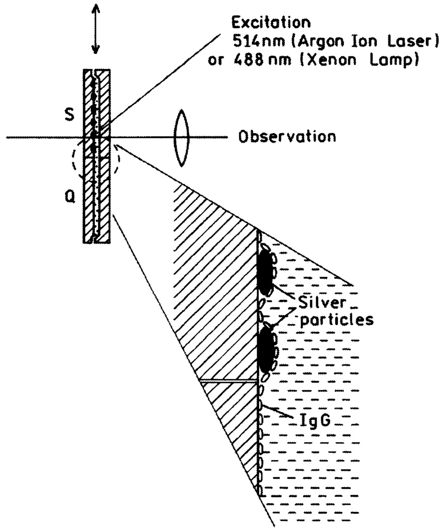 Fig. 10