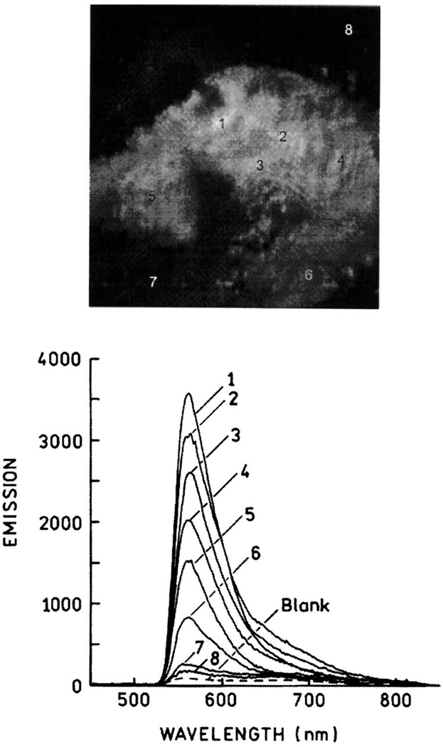 Fig. 30