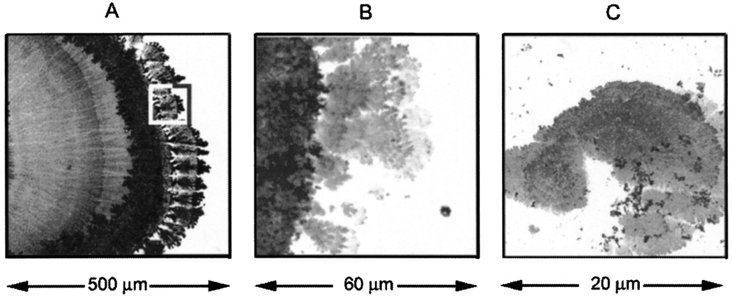 Fig. 29