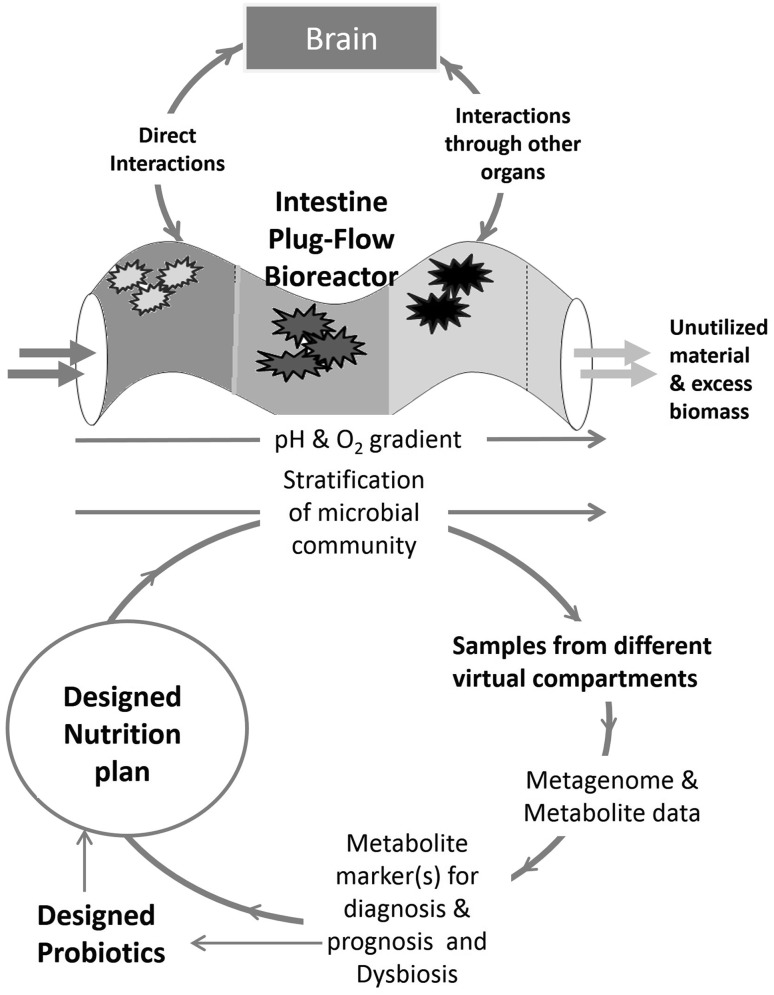 Fig. 3