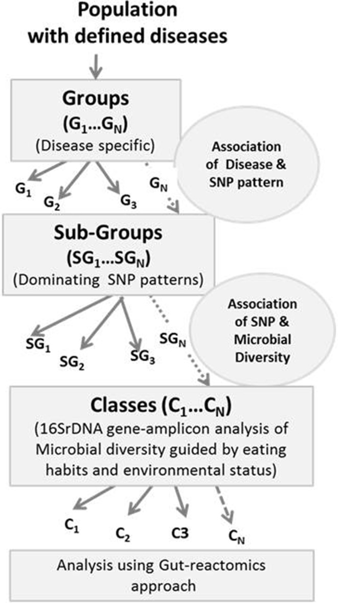 Fig. 2