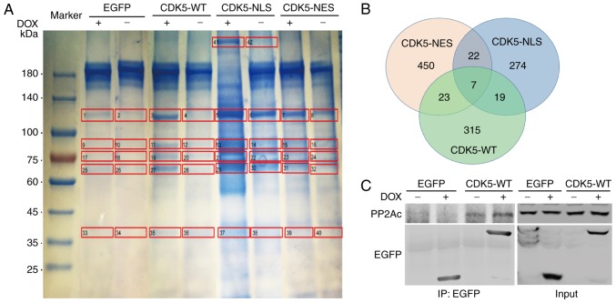 Figure 3.