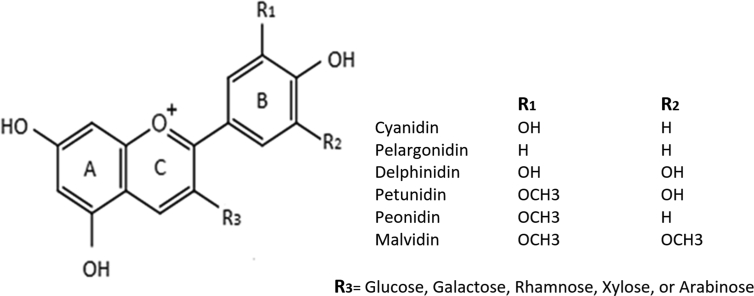 Fig. 1