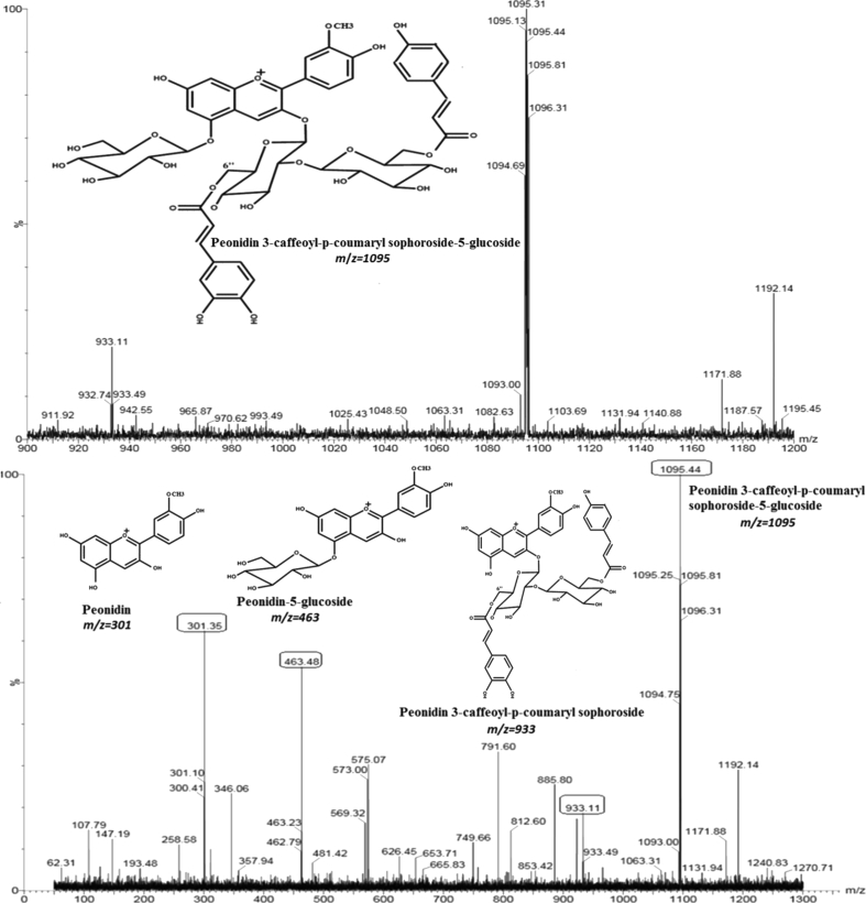 Fig. 3