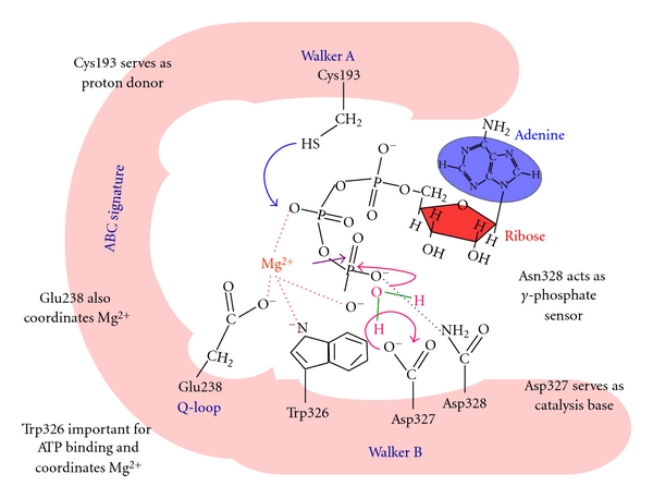 Figure 5