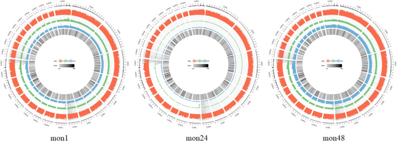 Fig. 3