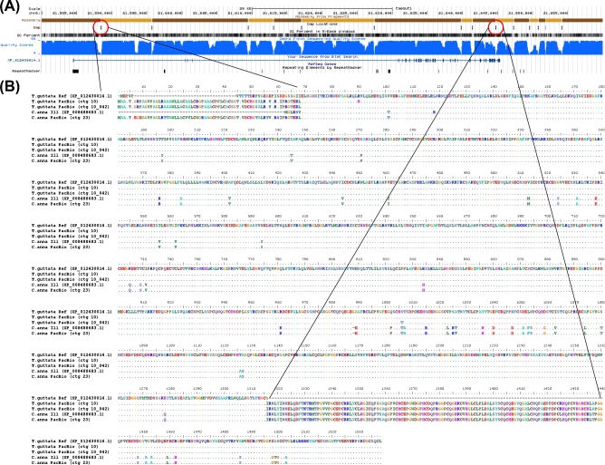 Figure 6: