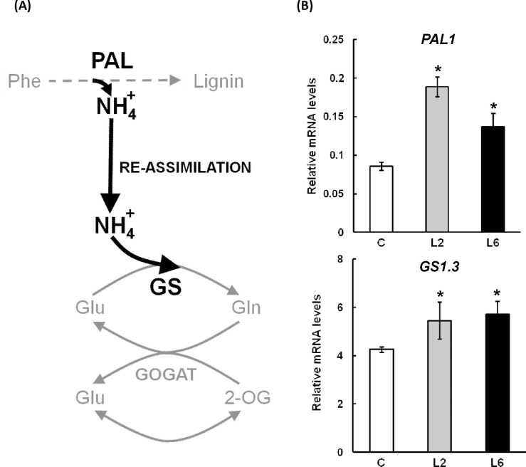 Fig 6