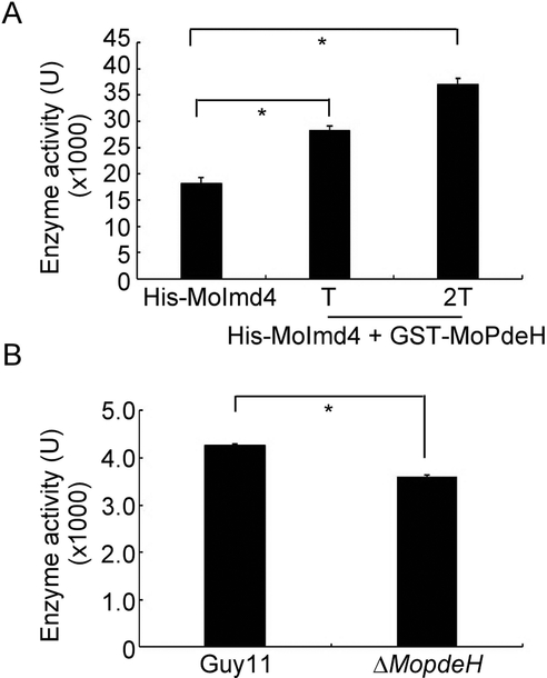 Fig. 8