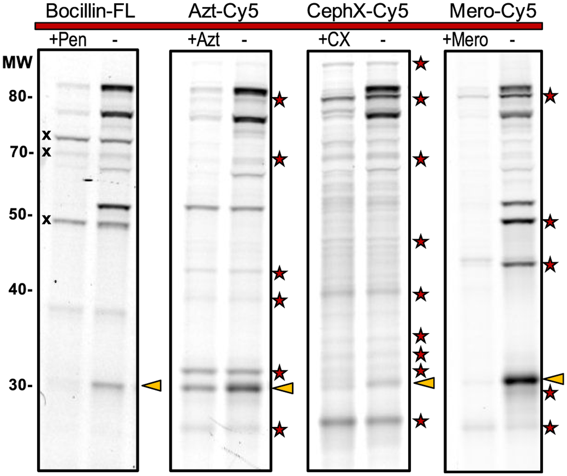 Figure 4.