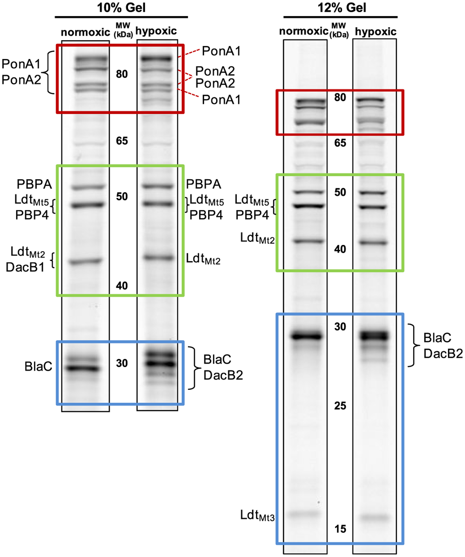 Figure 5.