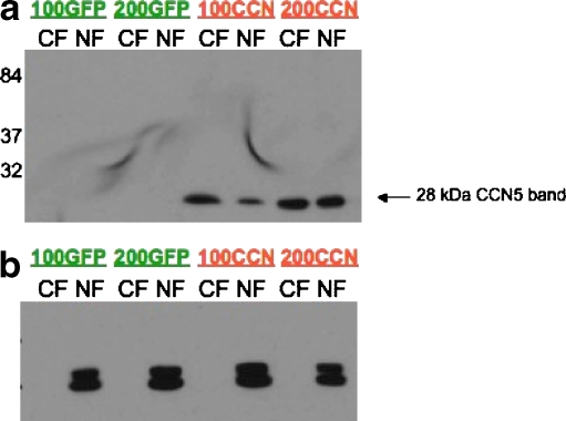 Fig. 4