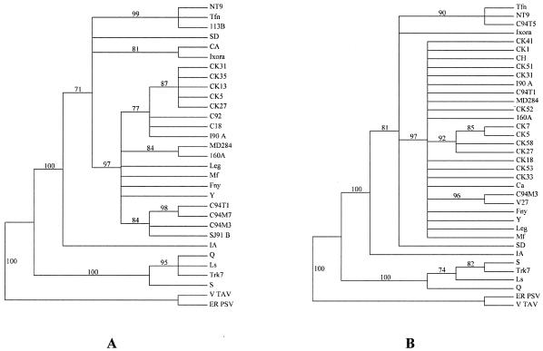 FIG. 3.