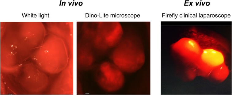 FIGURE 6.