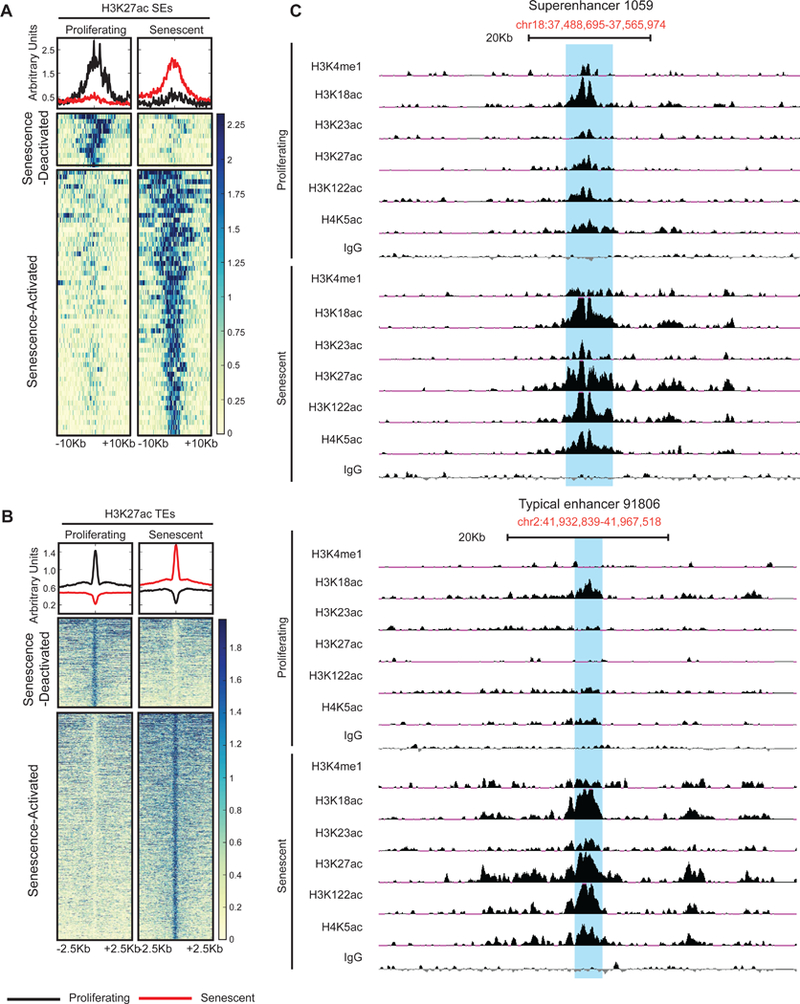 Figure 4: