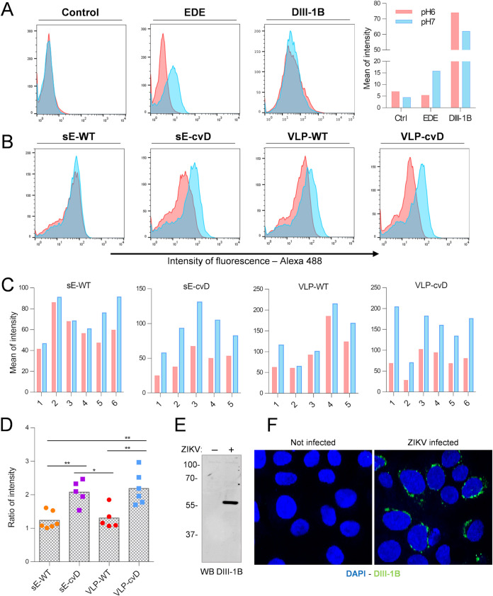 FIG 3