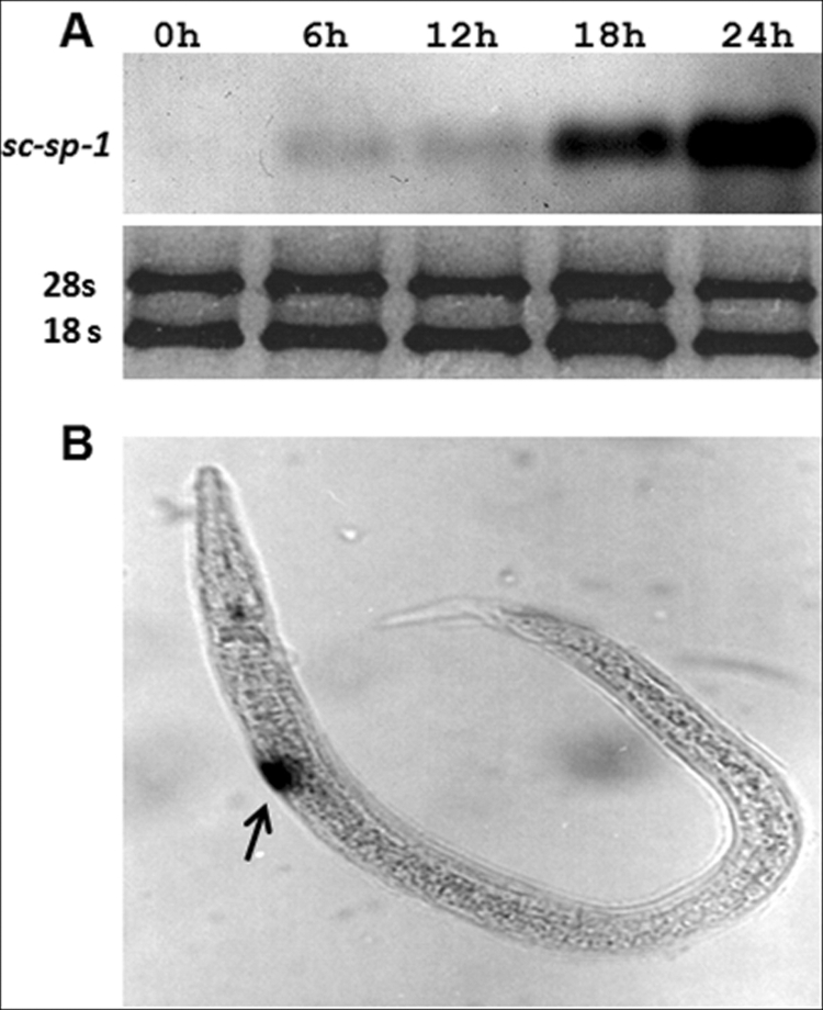 FIGURE 3.