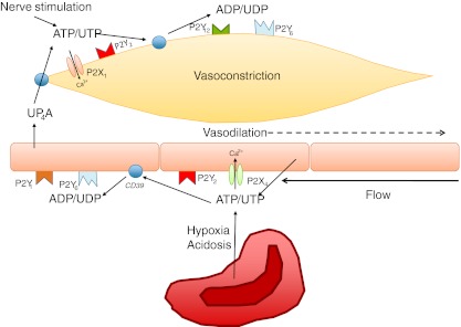 Fig. 3