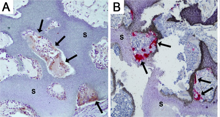 Fig 5