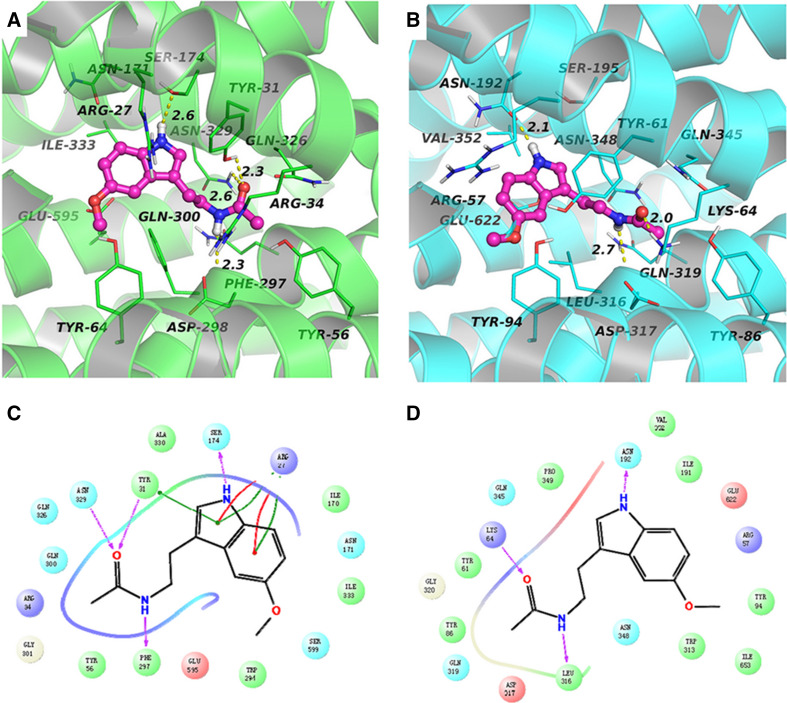 Melatonin transport into mitochondria PMC