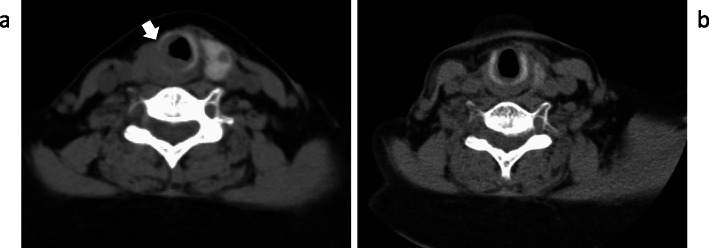 Fig. 8