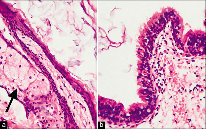 Figure 3: