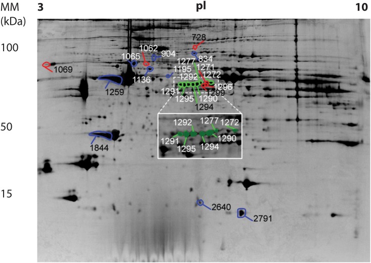 Fig 2