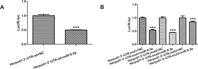 Fig 5