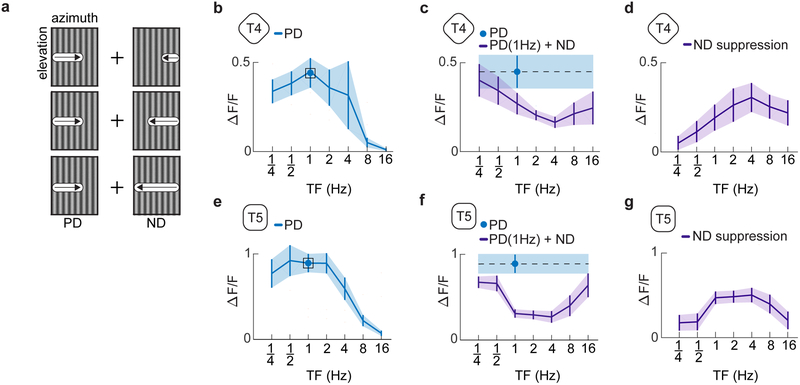 Fig 4.