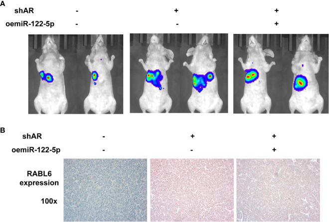 Figure 6