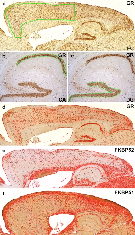 Fig. 1